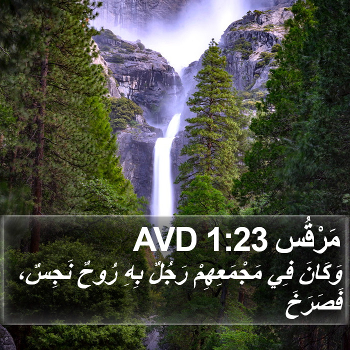 مَرْقُس 1:23 AVD Bible Study