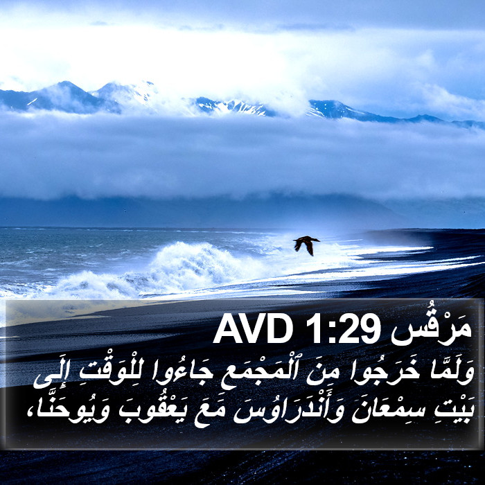 مَرْقُس 1:29 AVD Bible Study