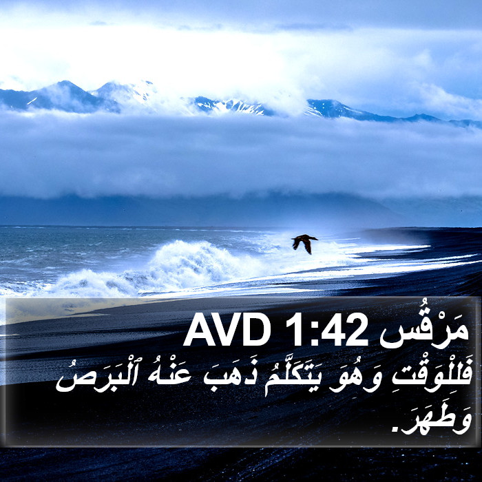 مَرْقُس 1:42 AVD Bible Study