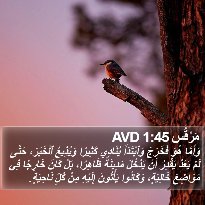 مَرْقُس 1:45 AVD Bible Study