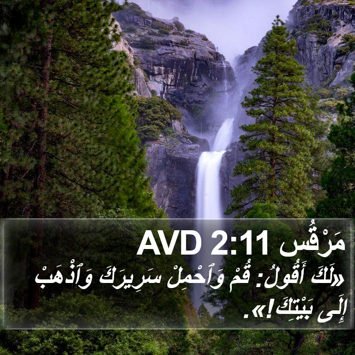 مَرْقُس 2:11 AVD Bible Study