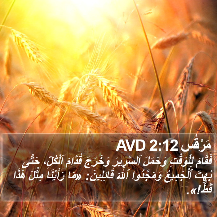 مَرْقُس 2:12 AVD Bible Study
