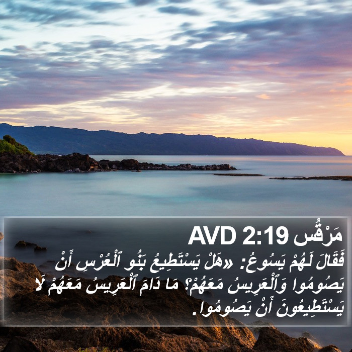 مَرْقُس 2:19 AVD Bible Study