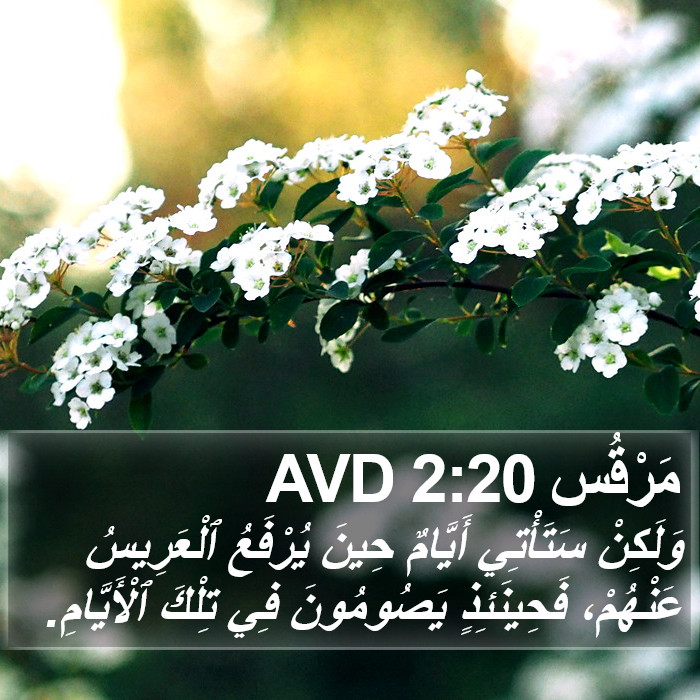 مَرْقُس 2:20 AVD Bible Study