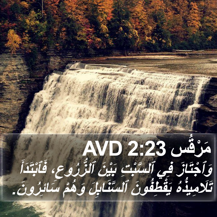 مَرْقُس 2:23 AVD Bible Study