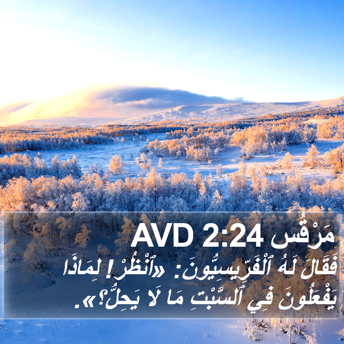 مَرْقُس 2:24 AVD Bible Study