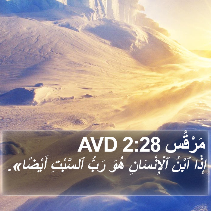 مَرْقُس 2:28 AVD Bible Study