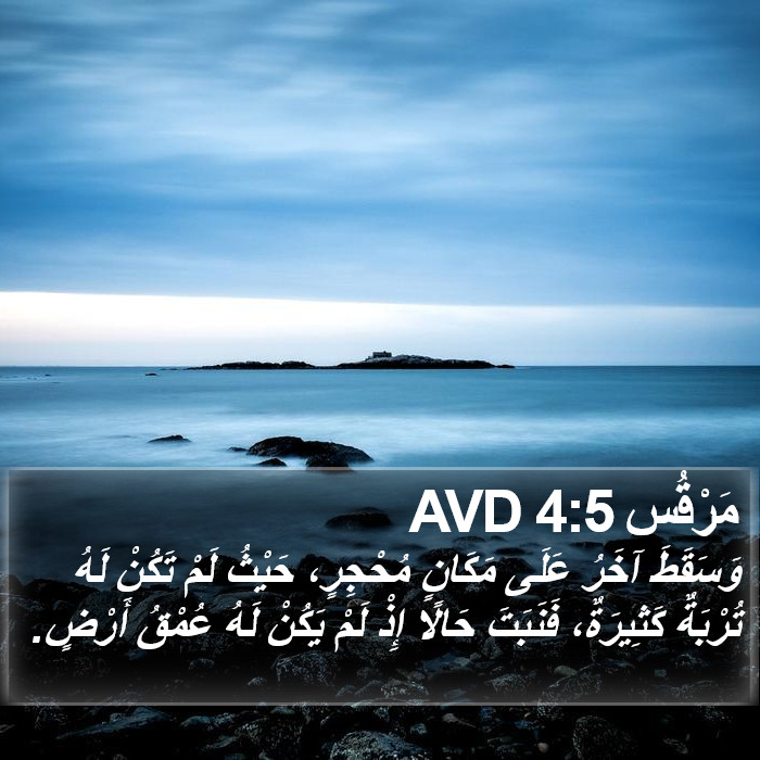 مَرْقُس 4:5 AVD Bible Study