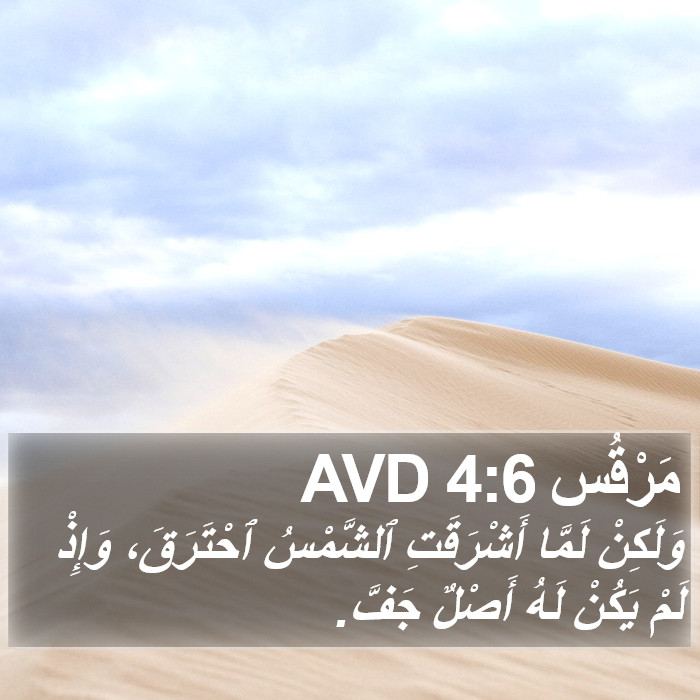 مَرْقُس 4:6 AVD Bible Study