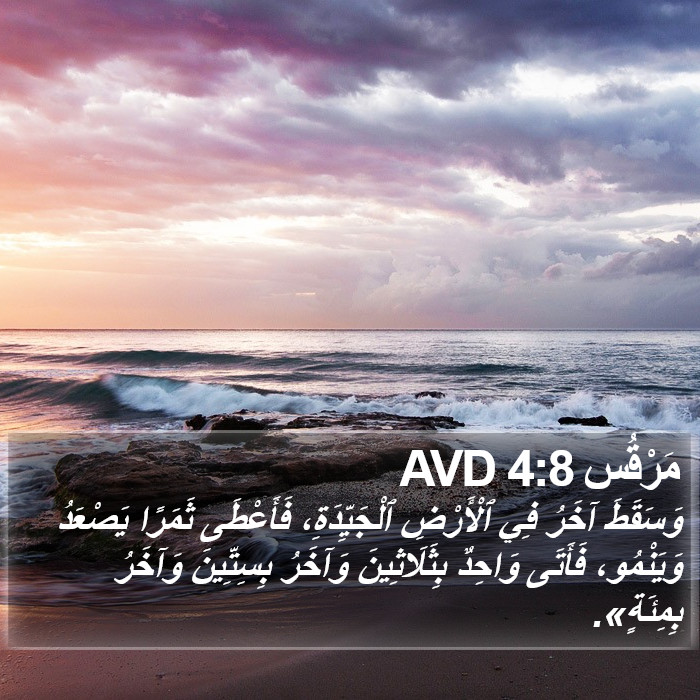 مَرْقُس 4:8 AVD Bible Study