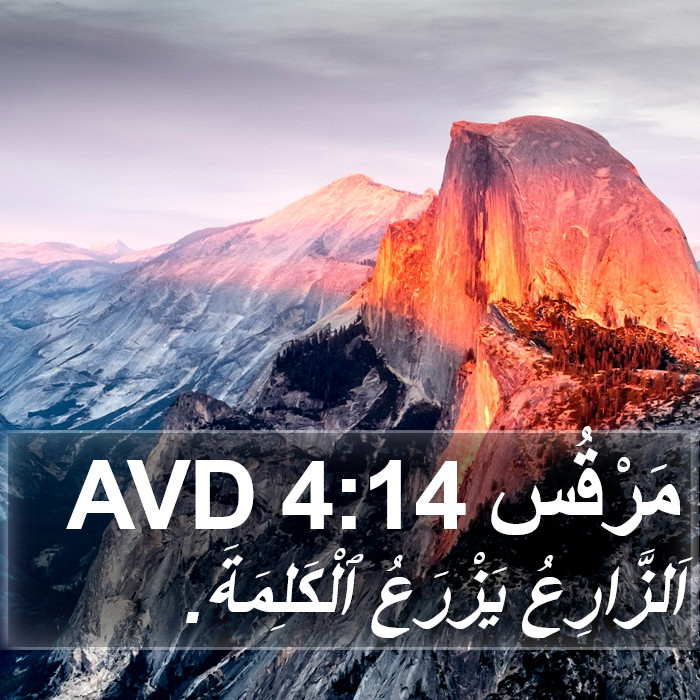 مَرْقُس 4:14 AVD Bible Study