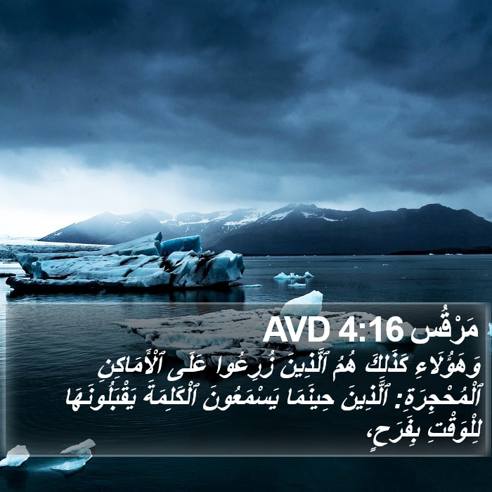 مَرْقُس 4:16 AVD Bible Study