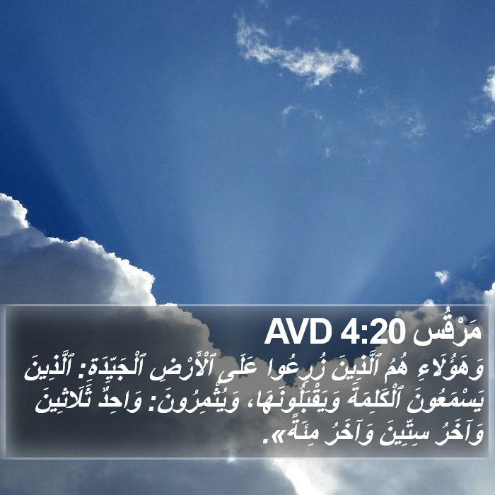 مَرْقُس 4:20 AVD Bible Study