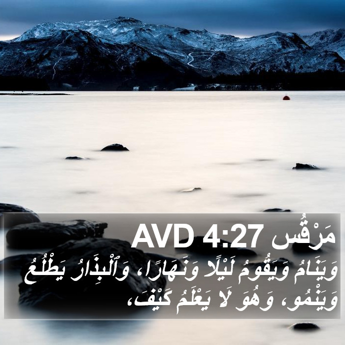 مَرْقُس 4:27 AVD Bible Study