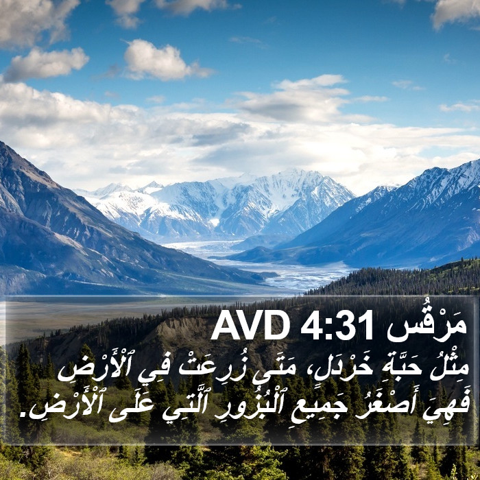 مَرْقُس 4:31 AVD Bible Study