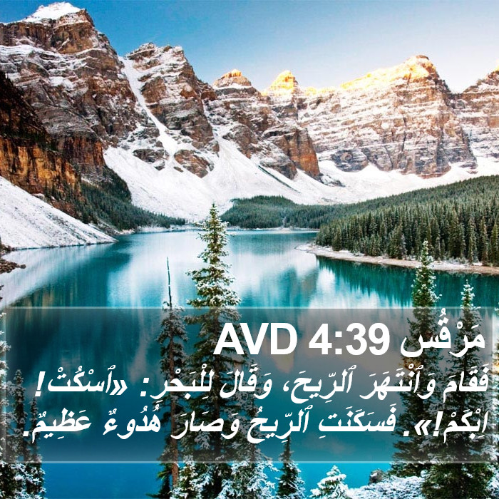 مَرْقُس 4:39 AVD Bible Study