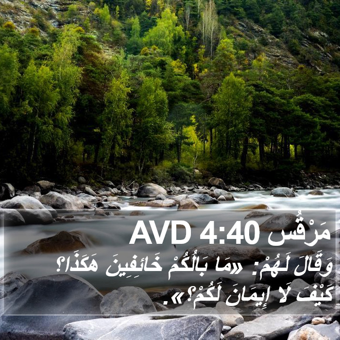 مَرْقُس 4:40 AVD Bible Study