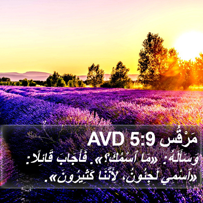 مَرْقُس 5:9 AVD Bible Study