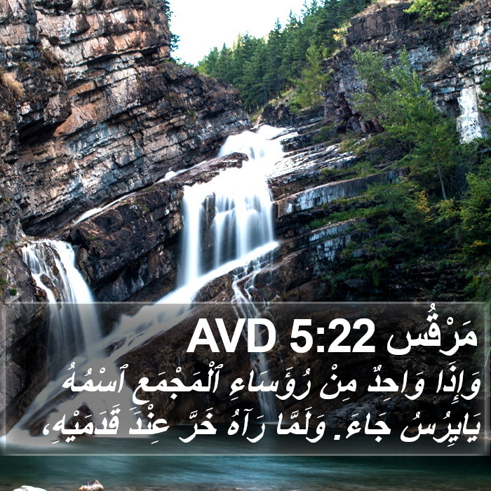 مَرْقُس 5:22 AVD Bible Study