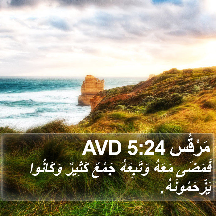 مَرْقُس 5:24 AVD Bible Study