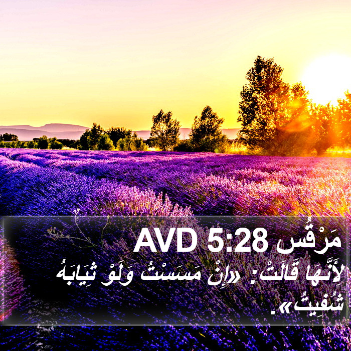 مَرْقُس 5:28 AVD Bible Study