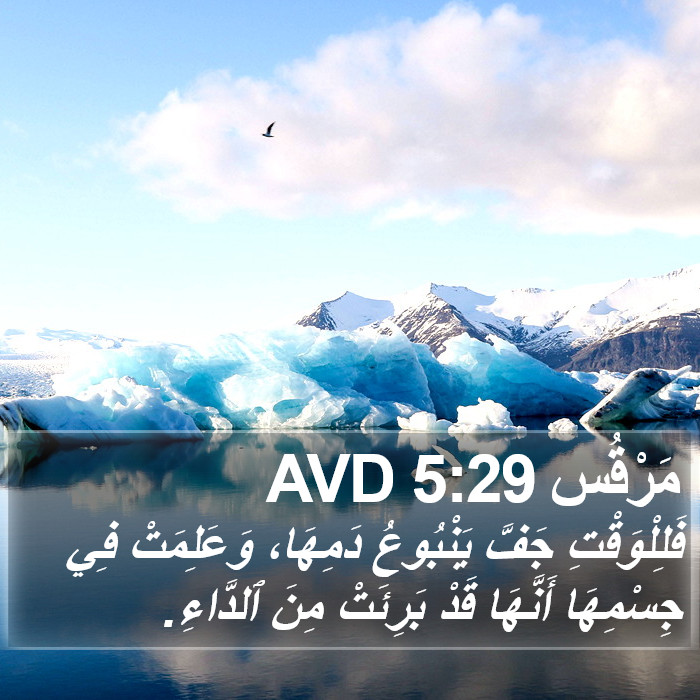 مَرْقُس 5:29 AVD Bible Study