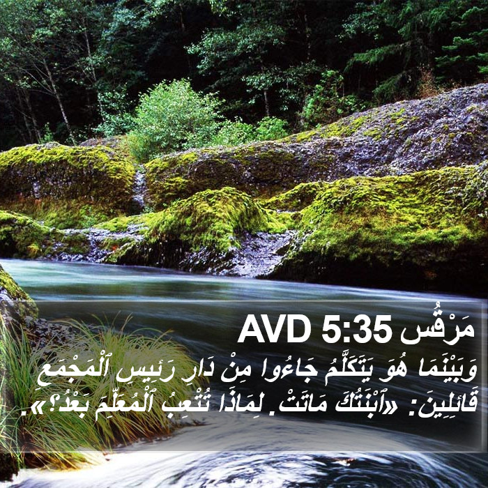 مَرْقُس 5:35 AVD Bible Study