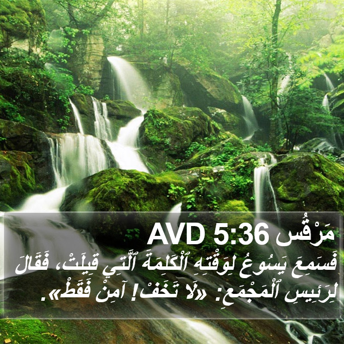 مَرْقُس 5:36 AVD Bible Study