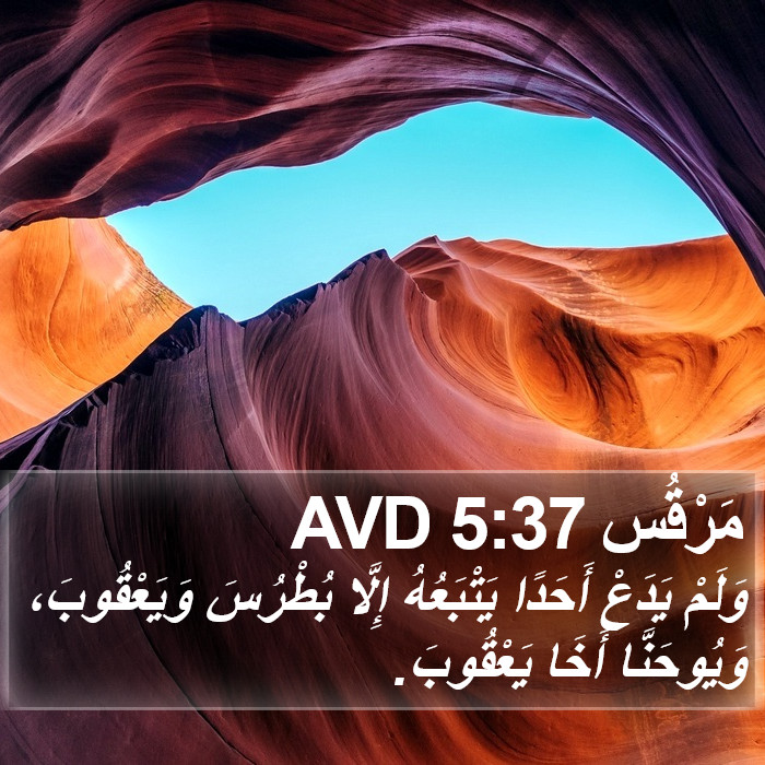 مَرْقُس 5:37 AVD Bible Study