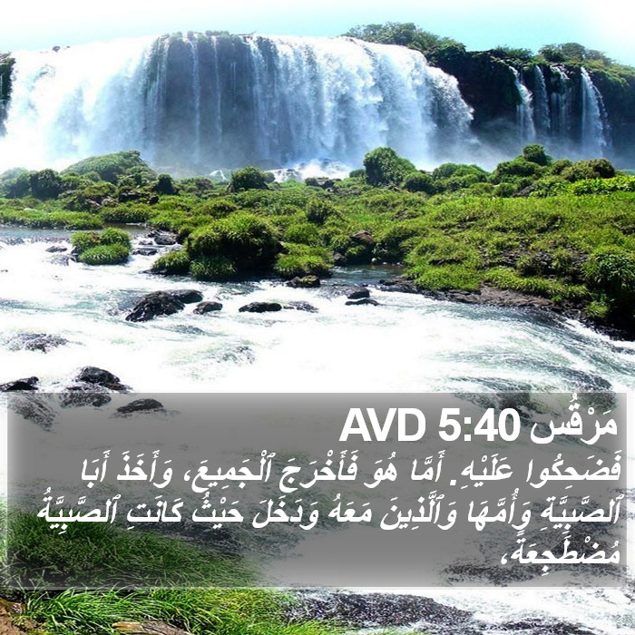 مَرْقُس 5:40 AVD Bible Study