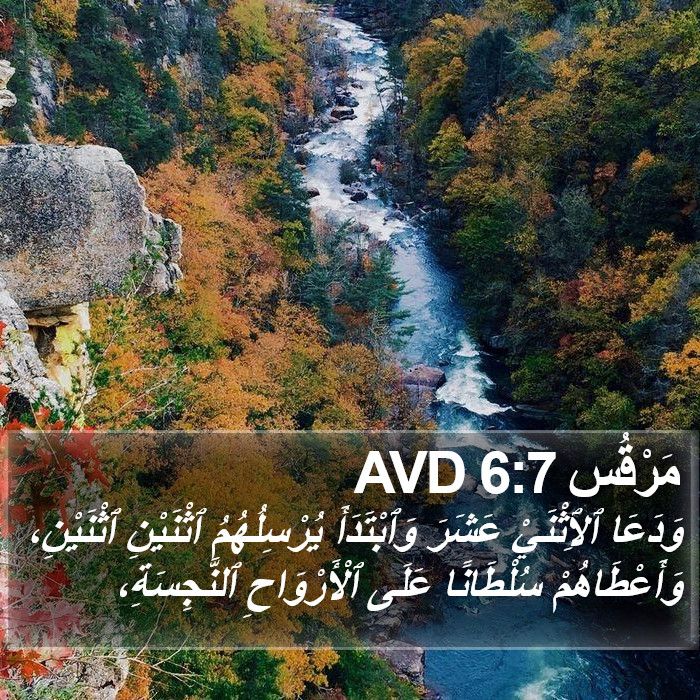 مَرْقُس 6:7 AVD Bible Study