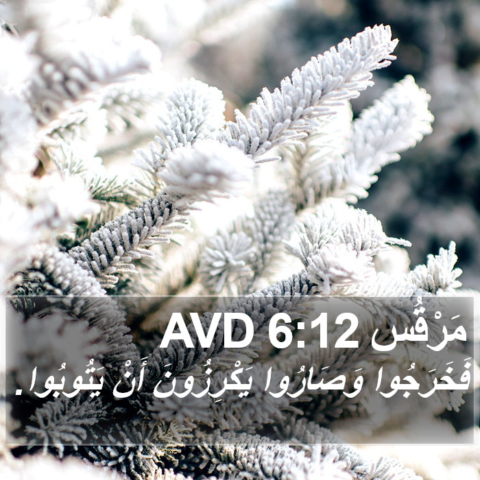 مَرْقُس 6:12 AVD Bible Study