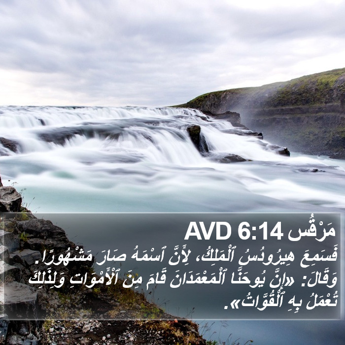 مَرْقُس 6:14 AVD Bible Study