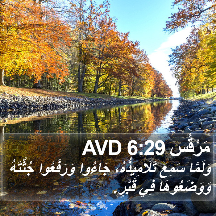 مَرْقُس 6:29 AVD Bible Study