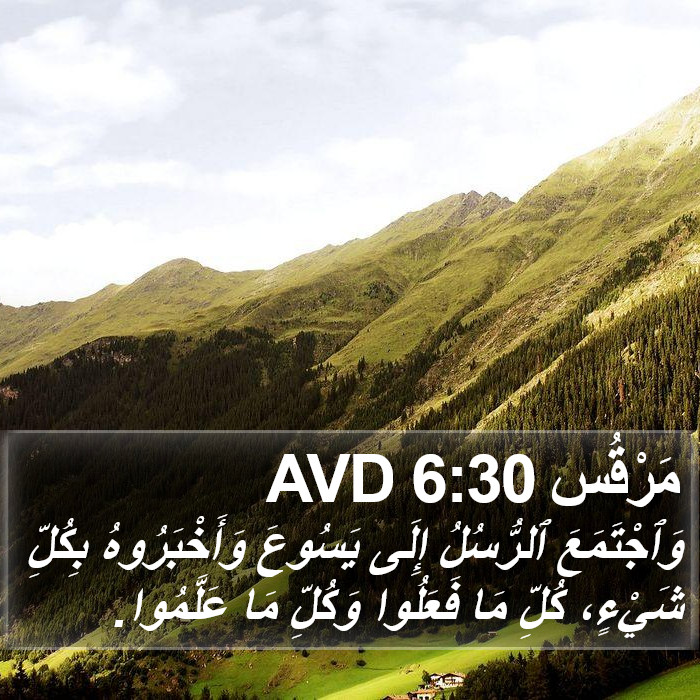 مَرْقُس 6:30 AVD Bible Study