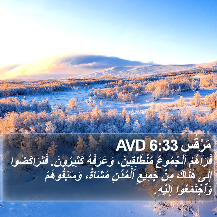 مَرْقُس 6:33 AVD Bible Study