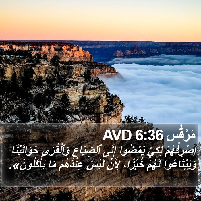 مَرْقُس 6:36 AVD Bible Study