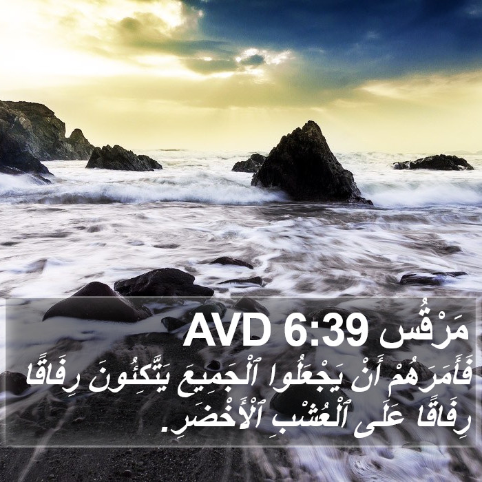 مَرْقُس 6:39 AVD Bible Study