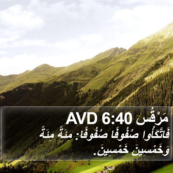 مَرْقُس 6:40 AVD Bible Study