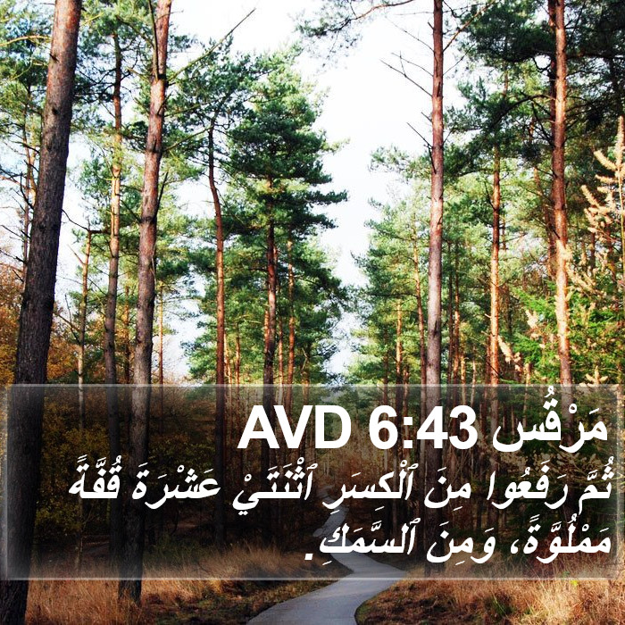 مَرْقُس 6:43 AVD Bible Study