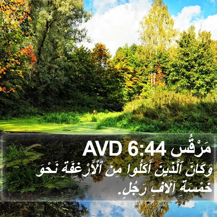 مَرْقُس 6:44 AVD Bible Study