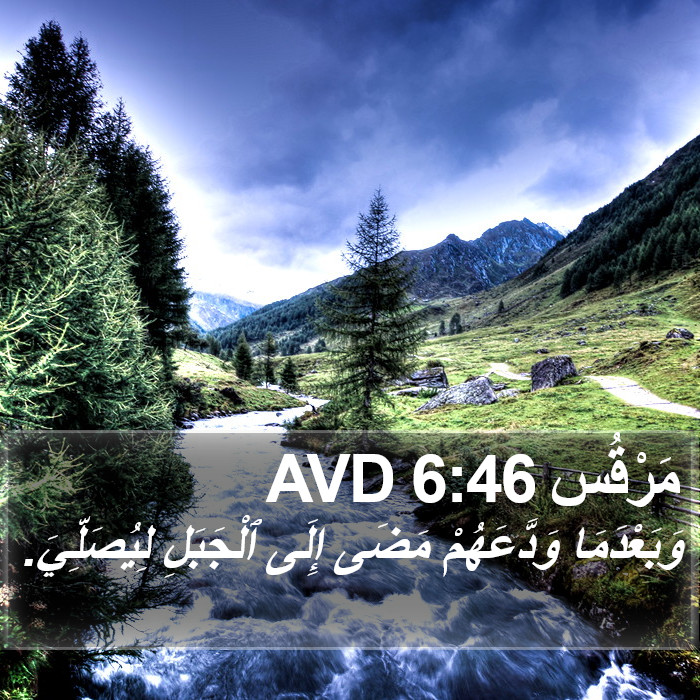 مَرْقُس 6:46 AVD Bible Study