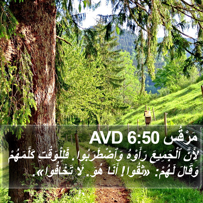 مَرْقُس 6:50 AVD Bible Study