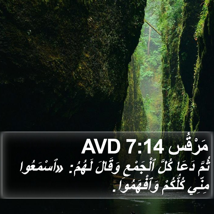 مَرْقُس 7:14 AVD Bible Study