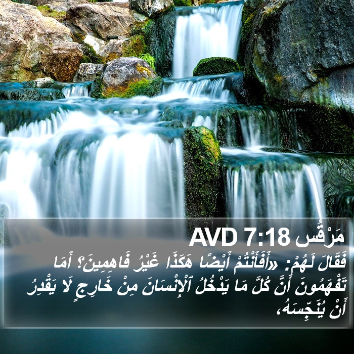 مَرْقُس 7:18 AVD Bible Study