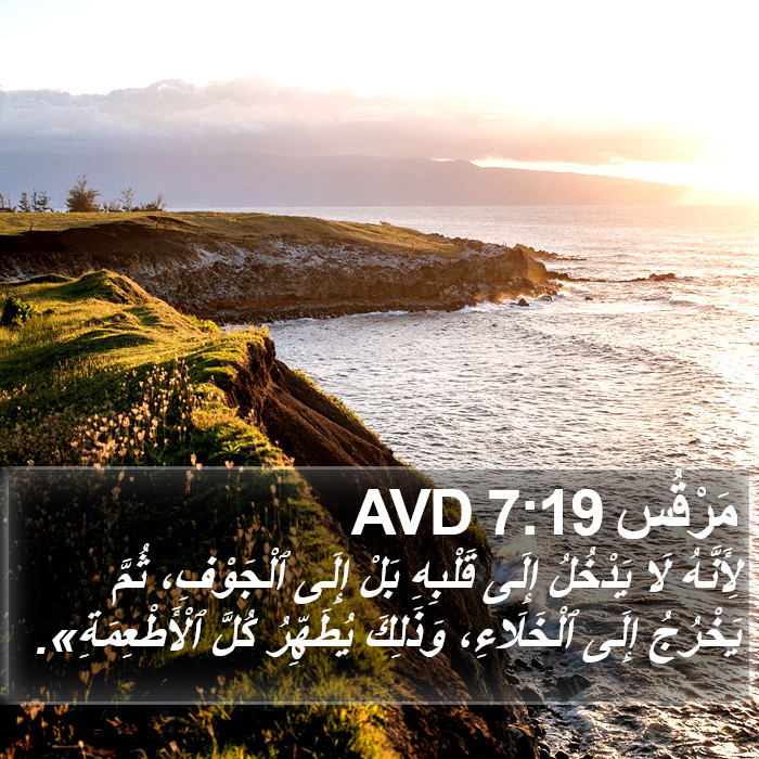 مَرْقُس 7:19 AVD Bible Study