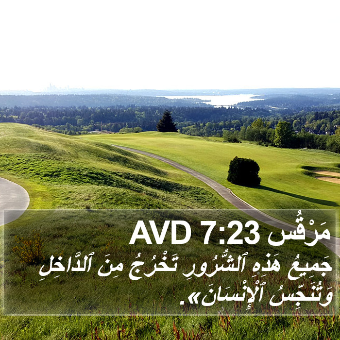 مَرْقُس 7:23 AVD Bible Study