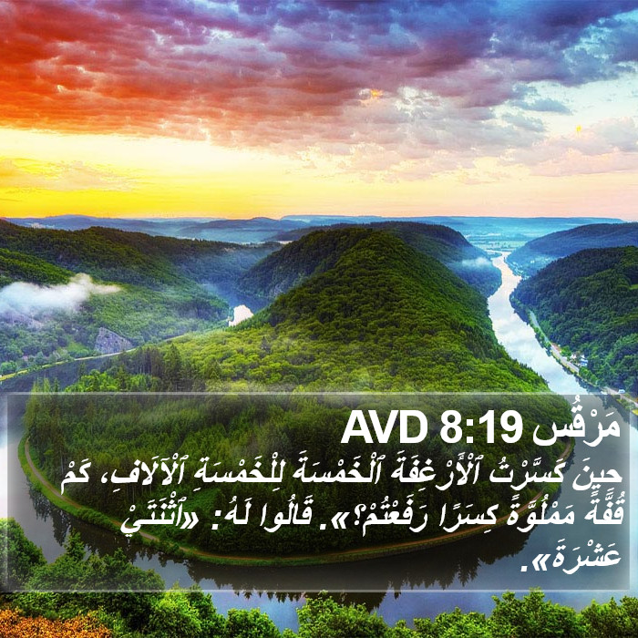 مَرْقُس 8:19 AVD Bible Study