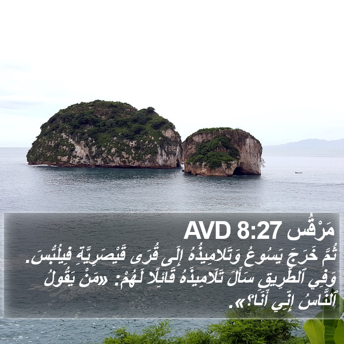 مَرْقُس 8:27 AVD Bible Study