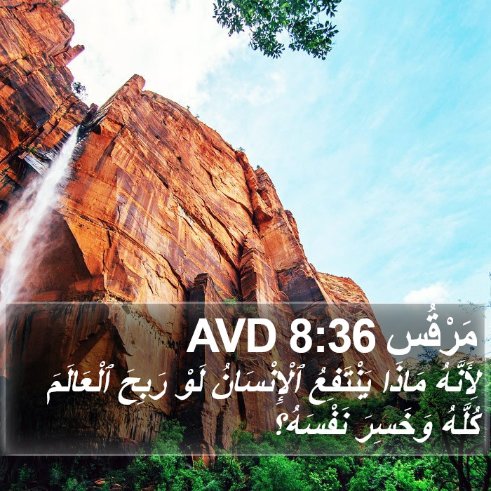 مَرْقُس 8:36 AVD Bible Study